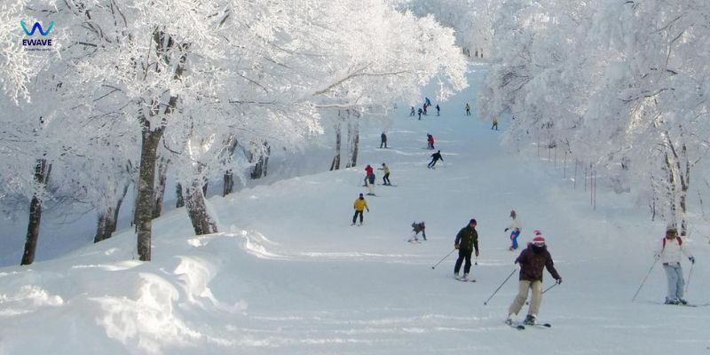 Trải nghiệm trượt tuyết tại Hokkaido