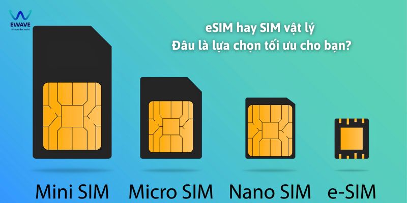 esim hay esim vat ly 1 - eWave