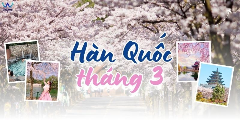 Khám phá thời tiết Hàn Quốc tháng 3 và những hoạt động nổi bật. 