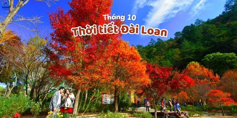 Thời tiết Đài Loan tháng 10 dễ chịu, mát mẻ.