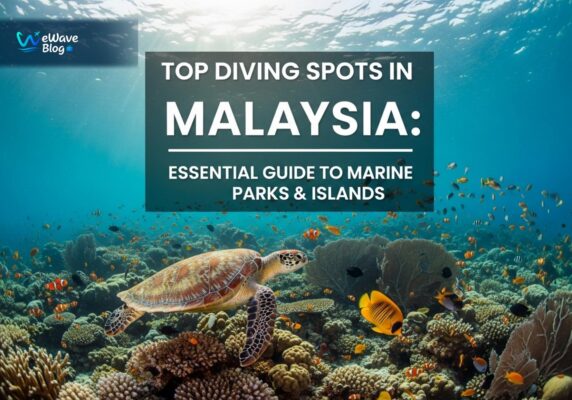 Top Diving Spots in Malaysia: Essential Guide to Marine Parks & Islands